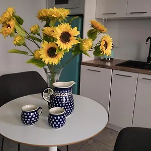  Apartament Spacious In The Heart Of Polska